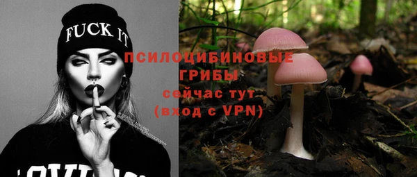 молекула духа Балабаново