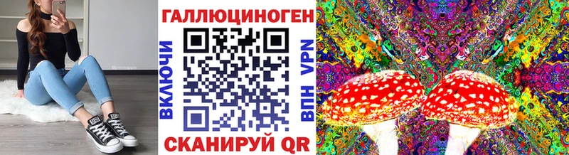 Галлюциногенные грибы GOLDEN TEACHER  даркнет сайт  Буинск 